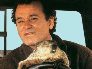 groundhog day 1