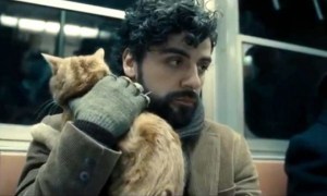 llewynandthecat_insidellewyndavis